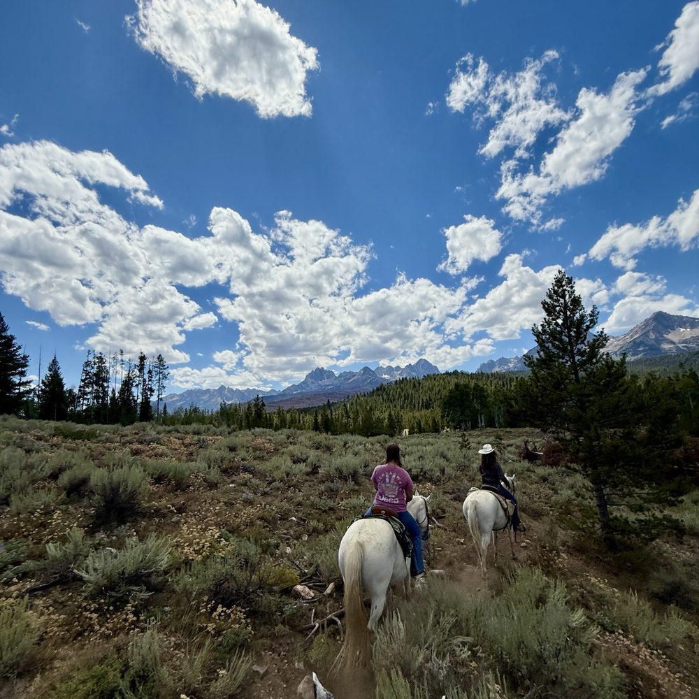 Redfish Corrals - Tours Near Me - Stanley, Idaho