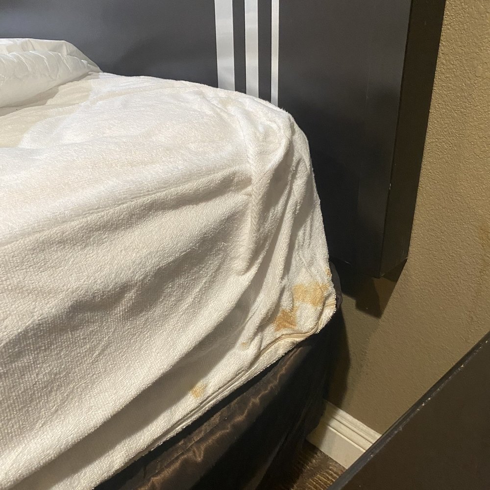 Quality Inn Downey - Stain on bed sheet - Hotels Near Me - Downey, California Quality Inn Downey - Stain on bed sheet - Hotels Near Me - Downey, California