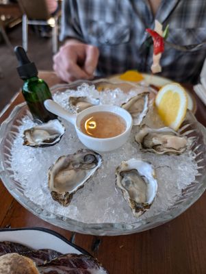 Emerald Mallard by null