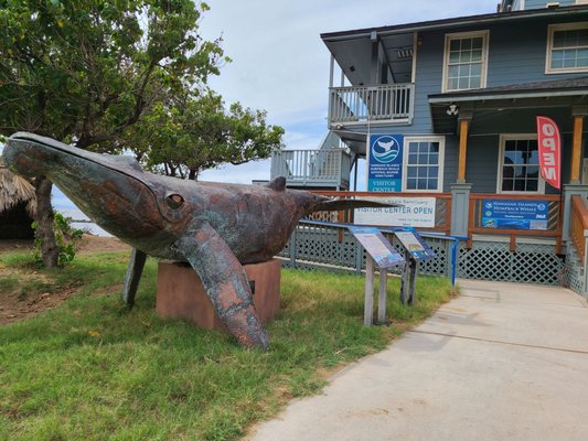 Hawaiian Islands Humpback Whale National Marine Sanctuary Visitor Center by null