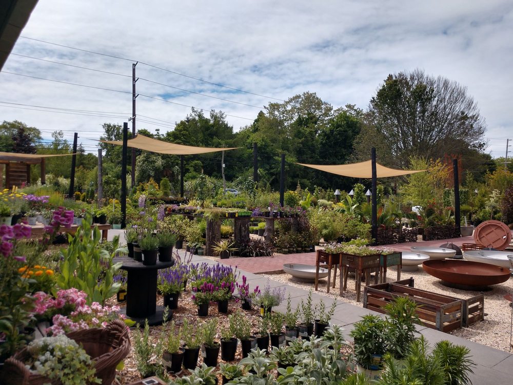 CIFARELLI’S NURSERY Updated June 2024 3405 Ackerly Pond Ln