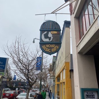 Your Basic Bird - Pet Stores Near Me - Berkeley, California Your Basic Bird - Pet Stores Near Me - Berkeley, California