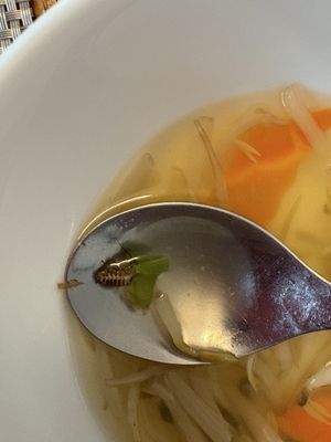 Overseas China Restaurant by null