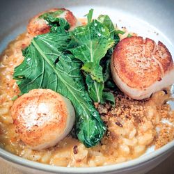 Union Restaurant - Scallop risotto