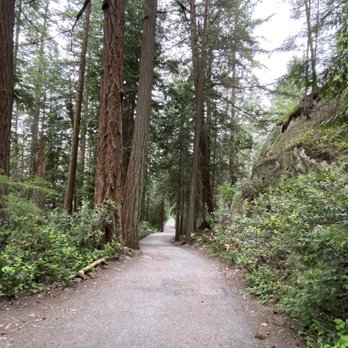 Lighthouse Park - Trail shot - Parks Near Me Lighthouse Park - Trail shot - Parks Near Me