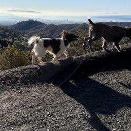 Luna & Stella in their Glory! Luna & Stella in their Glory!