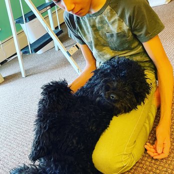 Mau's House - Before - Pet Groomers Near Me - Chicago, Illinois