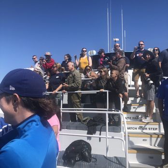 Harbor Breeze - Boat Charters Near Me - Long Beach, California Harbor Breeze - Boat Charters Near Me - Long Beach, California