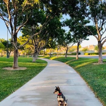 Paws 'n' Rec - Good dog - Pet Training Near Me - Las Vegas, Nevada