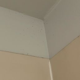 Mold in bathroom