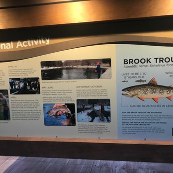 Powder Mill Fish Hatchery - Seasonal Activity 7/27/19 - Local Fish Stores Near Me - Pittsford, New York Powder Mill Fish Hatchery - Seasonal Activity 7/27/19 - Local Fish Stores Near Me - Pittsford, New York