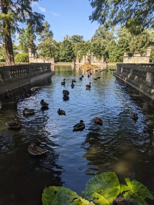 Tower Grove Park by null