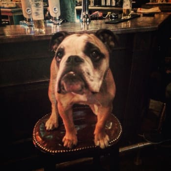 The Dog House - Hero Jr. But a lady - Pubs Near Me - Edinburgh, EDH The Dog House - Hero Jr. But a lady - Pubs Near Me - Edinburgh, EDH