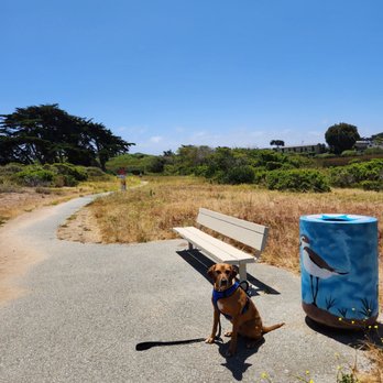 Locke Paddon Wetlands Park - Cool trash bin paint work - one of many - bag your trash and your dog poop and place it in the bin! - Parks Near Me - Marina, California Locke Paddon Wetlands Park - Cool trash bin paint work - one of many - bag your trash and your dog poop and place it in the bin! - Parks Near Me - Marina, California