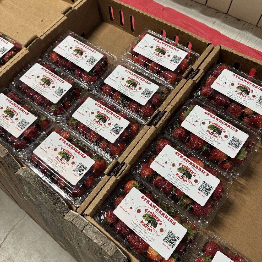 Froberg's Farm - The best fresh strawberries - Pick Your Own Farms Near Me - Alvin, Texas Froberg's Farm - The best fresh strawberries - Pick Your Own Farms Near Me - Alvin, Texas