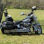 Photo of Gainseville Harley Davidson