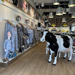 Cows