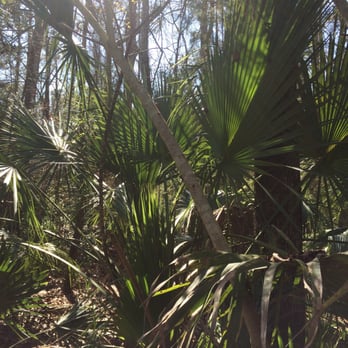 Palmetto Islands County Park - Dog Parks Near Me - Mount Pleasant, South Carolina Palmetto Islands County Park - Dog Parks Near Me - Mount Pleasant, South Carolina