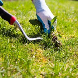 San Marino Outdoor Services