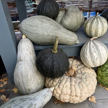 The Farmer's Daughter - Nurseries & Gardening Near Me - Wakefield, Rhode Island