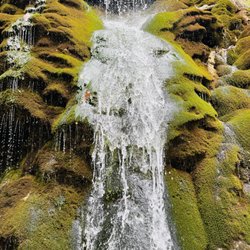 Wolf Creek Falls - Look at the moss growing underneath