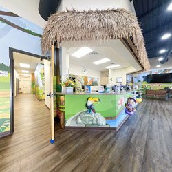 Smile Magic of Carrollton - Jungle themed Lobby