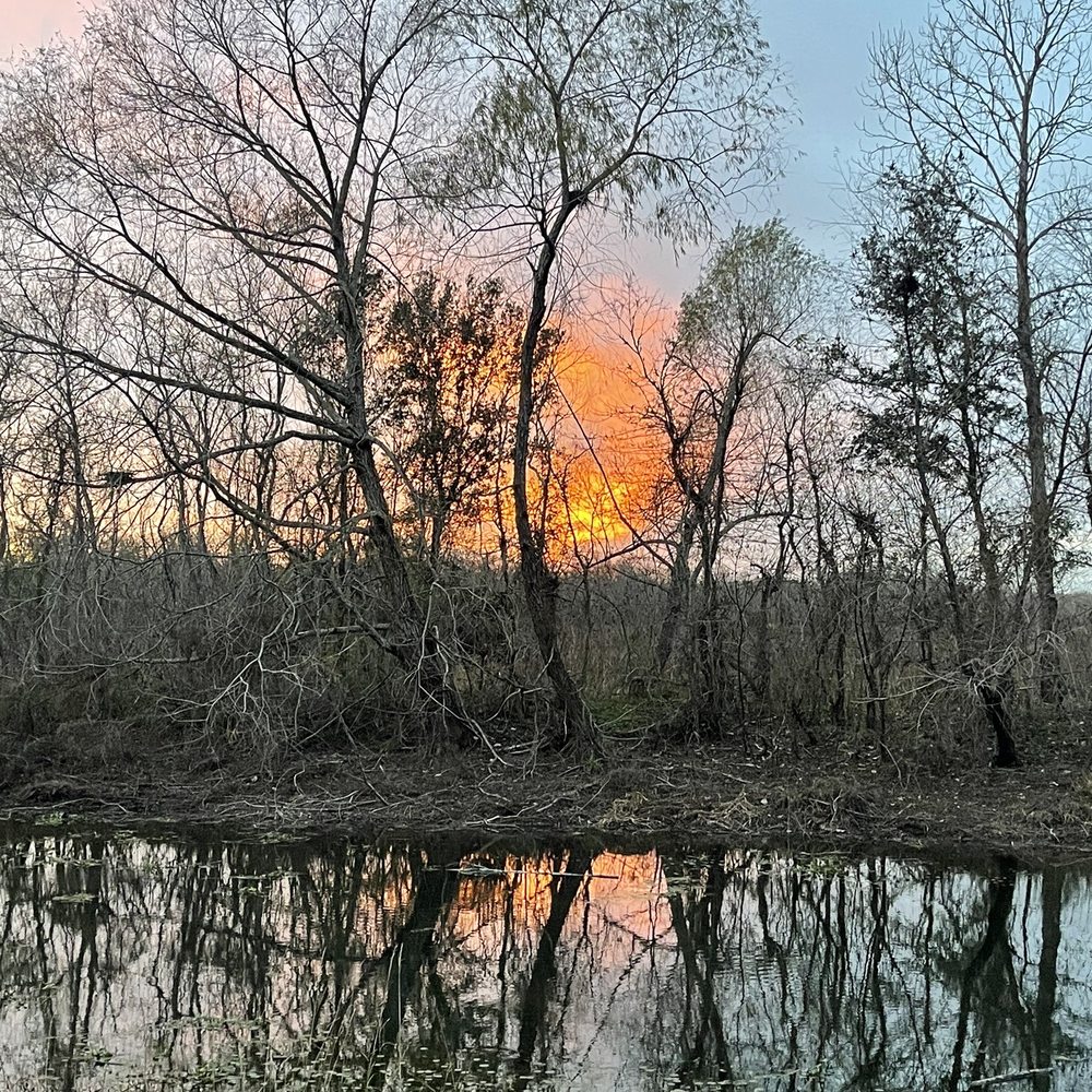 Brazos Bend State Park - Parks Near Me - Needville, Texas