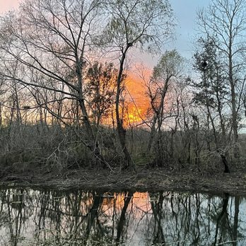 Brazos Bend State Park - Parks Near Me - Needville, Texas