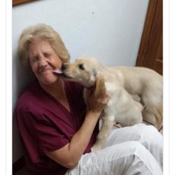Prescott Pet Watch - Vet Tech: A very hazardous job!!