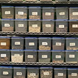 Chinese Acupuncture & Herbal - Herbs