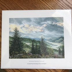 Pennington T Art Gallery - Teresa Pennington is a outstanding artist.