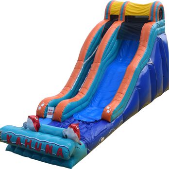 Gator Bounce Rentals - Bounce House Rentals Near Me - Alva, Florida Gator Bounce Rentals - Bounce House Rentals Near Me - Alva, Florida