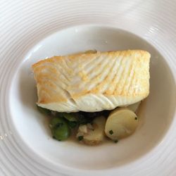 Craig Millar @16 West End - Fillet of halibut