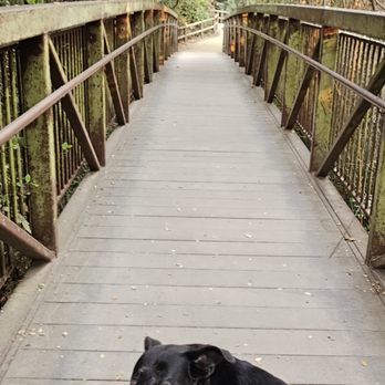 Arroyo Burro Beach - The bridge to  enter the Douglas Family Preserve - Beaches Near Me - Santa Barbara, California