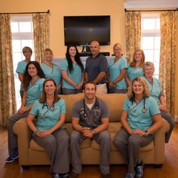 Hemlock Bluffs Animal Hospital