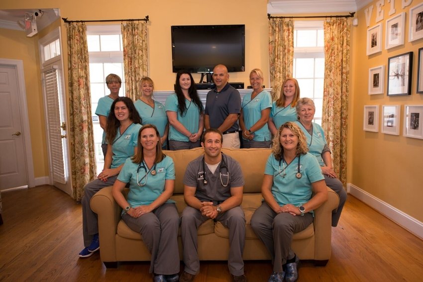 Hemlock Bluffs Animal Hospital - pet boarding facility in Holly Springs, NC