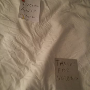 Myrtle Lane - Hotels Near Me - Coquille, Oregon