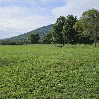 Bruynswick Winery - Wine Tasting Room Near Me - Gardiner, New York