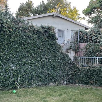 All Frank Handyman Services - Missing fence. - Handyman Near Me All Frank Handyman Services - Missing fence. - Handyman Near Me