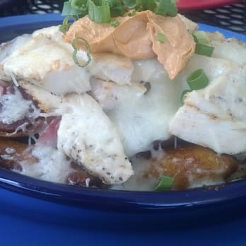 Coyote Kitchen - The Taos Bowl - Bars Near Me - Boone, North Carolina