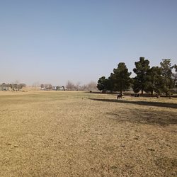 Waggin’ Trail Beal Dog Park - Wide open dog park