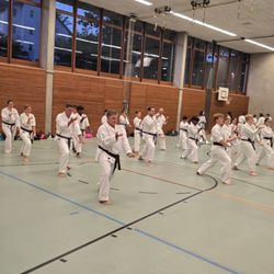 Kampfsportschule Aarau - Karateschule - Shotokan Kata Training