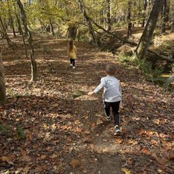 Mill Bridge Nature Park