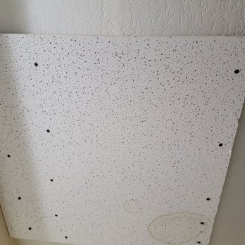Quality Inn - Poorly patched ceiling - Hotels Near Me - Bulls Gap, Tennessee