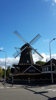 De Jonge Dikkert by null