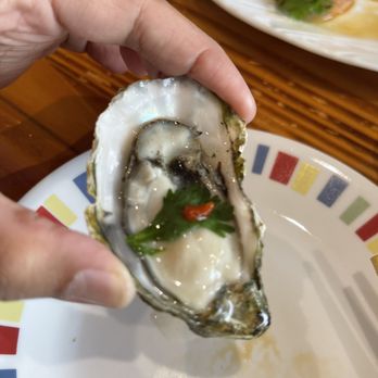 Dai Sushi - Oyster - Sushi Bars Near Me - Pleasantville, New York Dai Sushi - Oyster - Sushi Bars Near Me - Pleasantville, New York