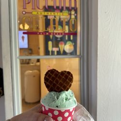 Piccolo Gelato - Mint chocolate chip gelato
