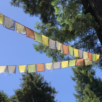 Tara Home - Tara Home (hospice cabin in the redwoods at Land of Medicine Buddha) - Hospice Near Me - Soquel, California