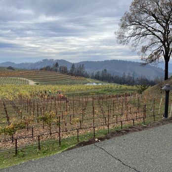 Pride Mountain Vineyards - Wineries Near Me - St. Helena, California Pride Mountain Vineyards - Wineries Near Me - St. Helena, California