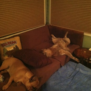 Auntie Allison's Bed n' Bark - Pet Sitting Near Me - Encinitas, California